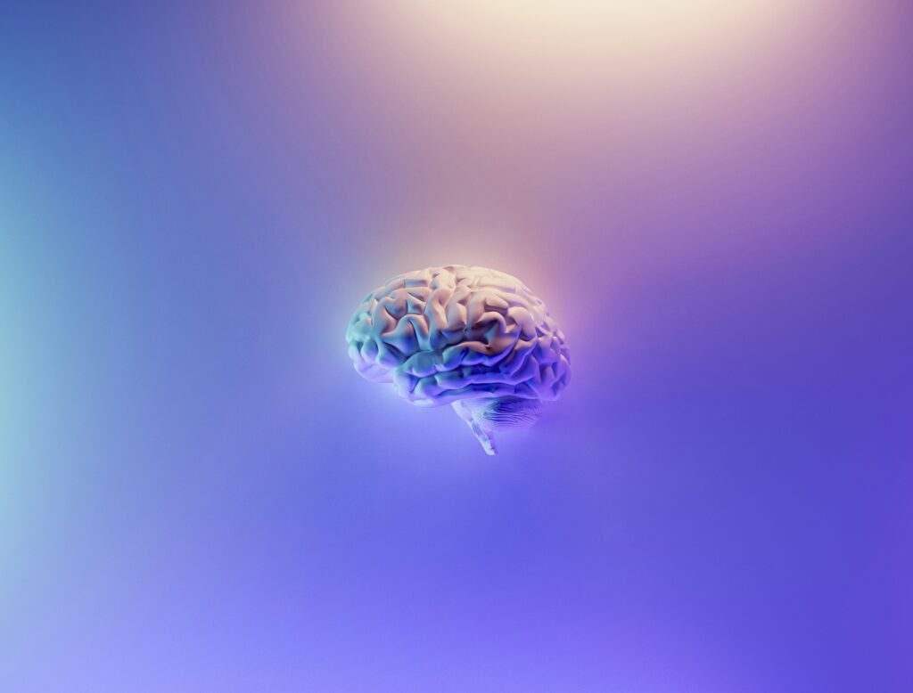 brain best memory supplements