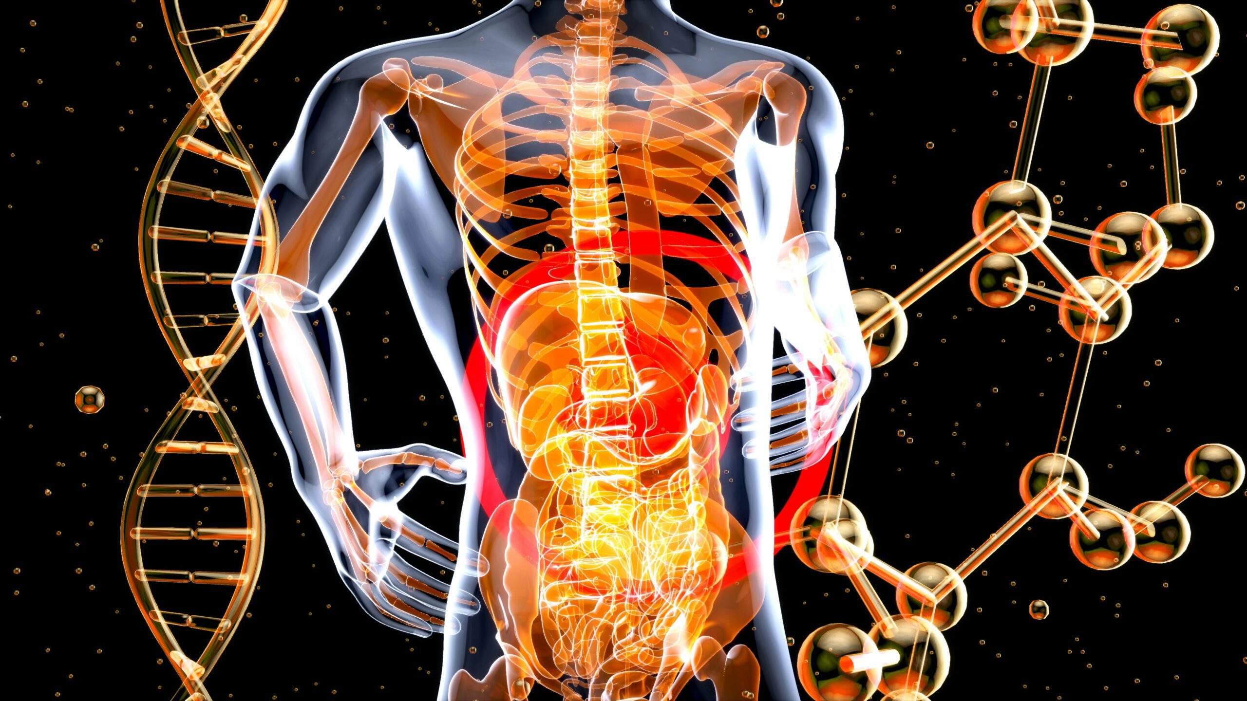 winter gut health gut image animation