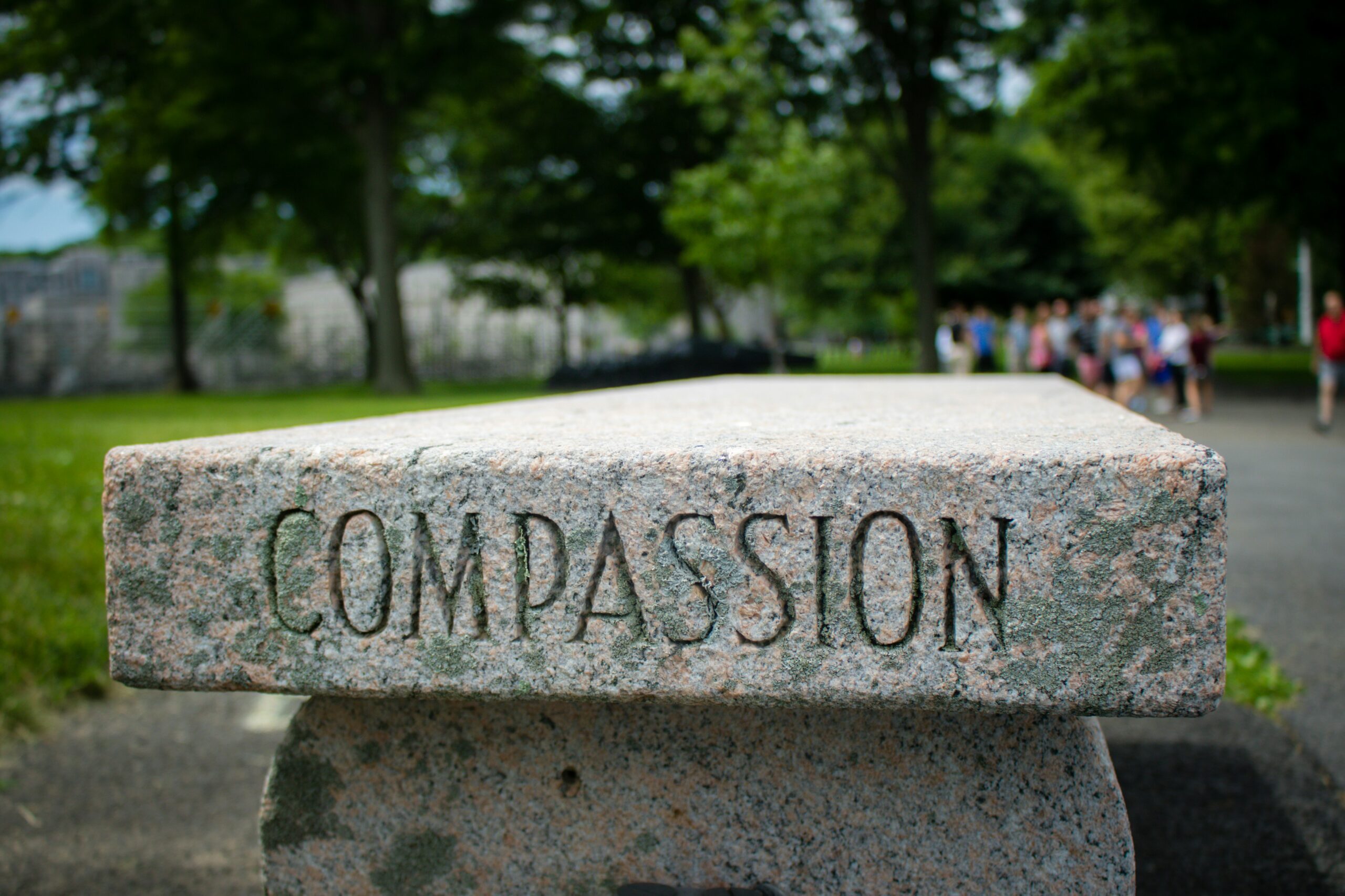 compassion block self improvement habits