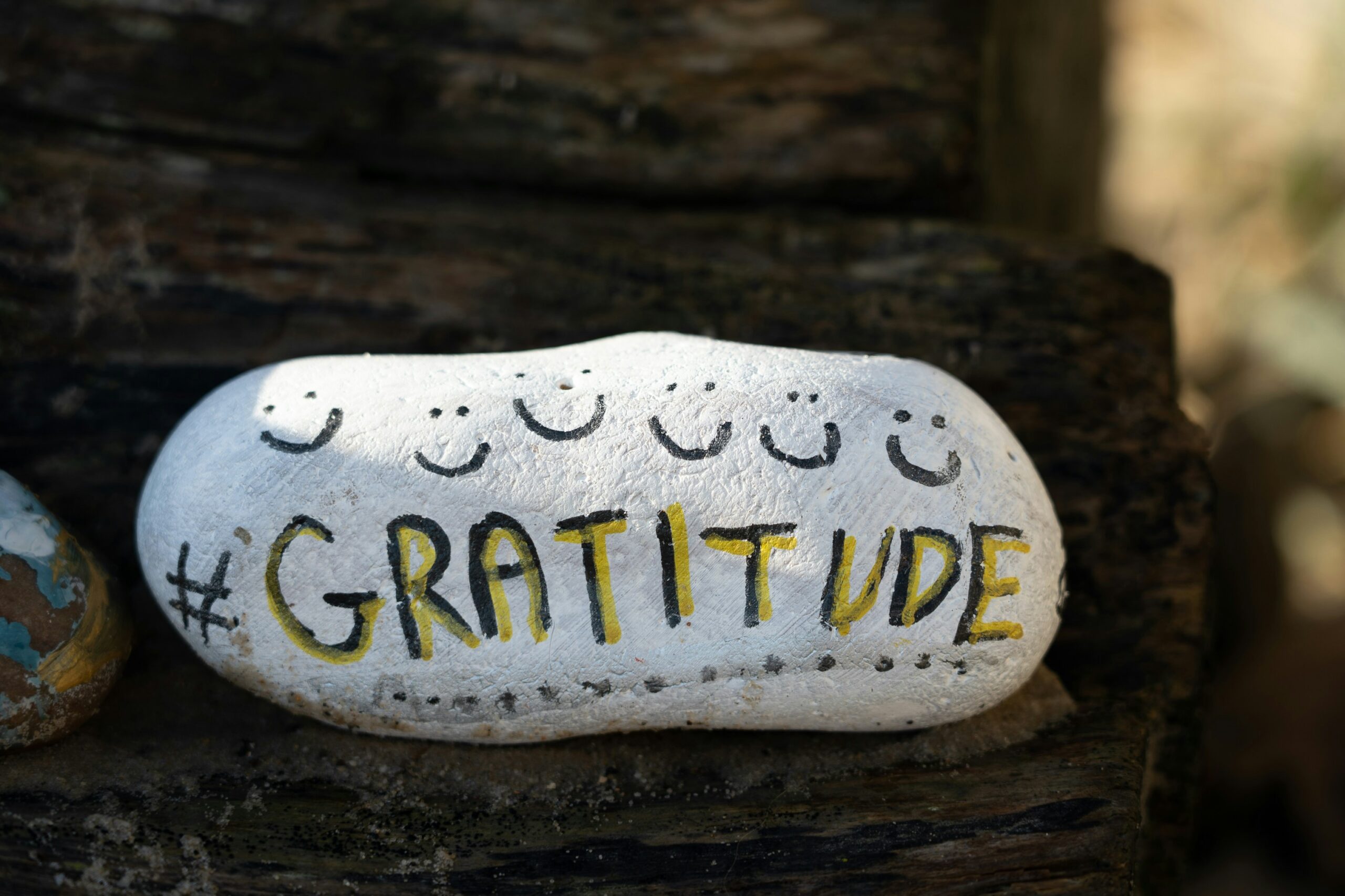 gratitude rock self improvement habits