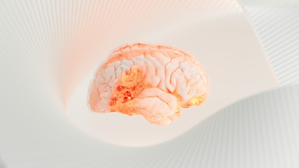 best memory supplements brain