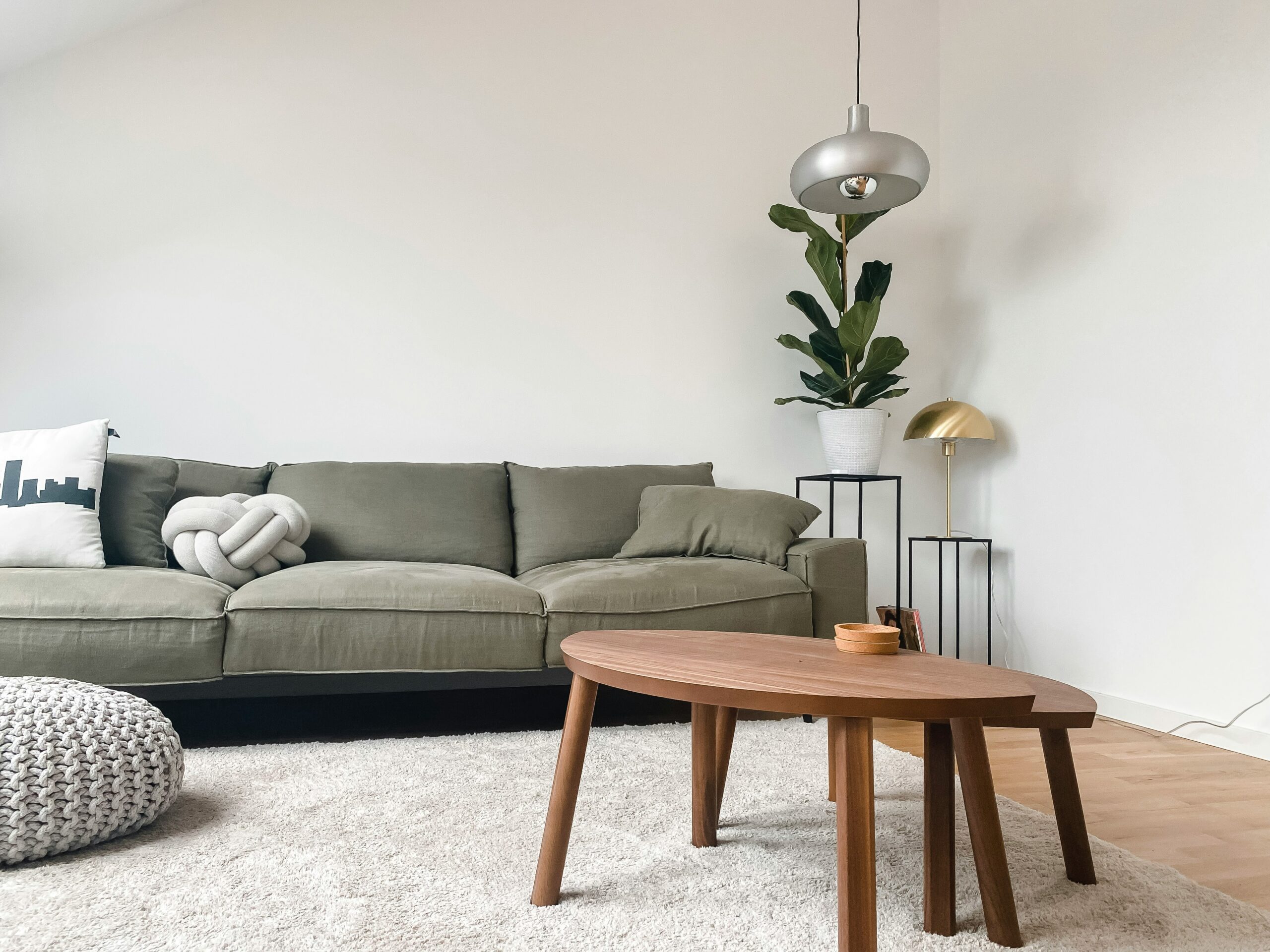 clean home reduce toxins at home