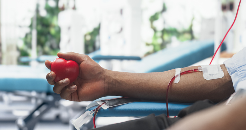 Close Up Shot Of Hand Of Male Blood Donor With an Attached Catheter. Black Man Holding Heart-Shaped Red Ball To Pump Blood Through The Tubing Into Bag. Donation For Organ Transplant Patients. lab test membership
