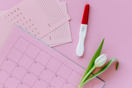 can you get pregnant if you're not ovulating- photo with calendar