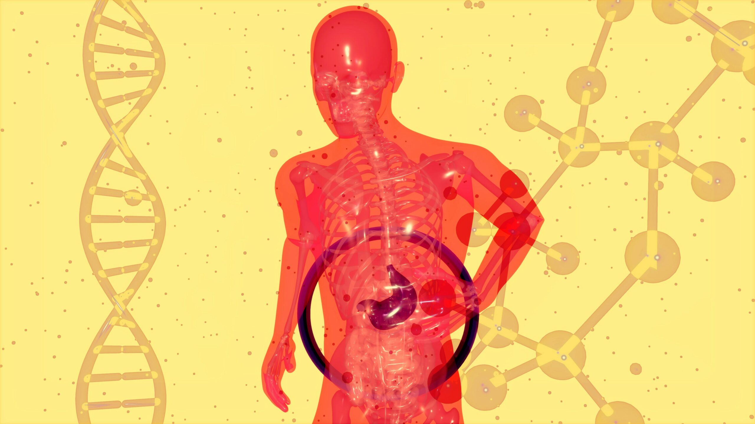 gut suffering winter gut health holiday recovery