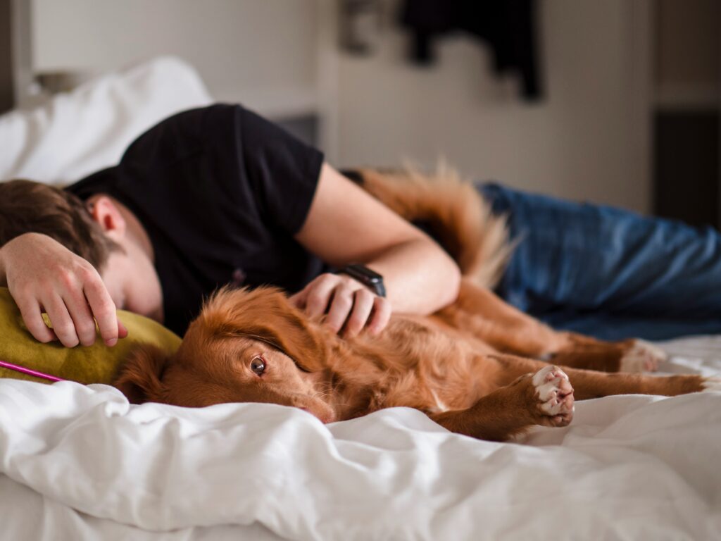 sleep chronotypes - sleep anxiety - man sleeping next to dog