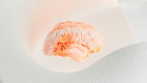 brain fog causes - brain image