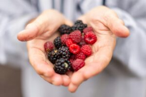 berries - Intermittent Fasting During Hot Weather