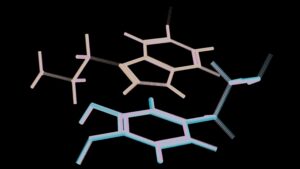 dopamine and serotonin - brain chemicals