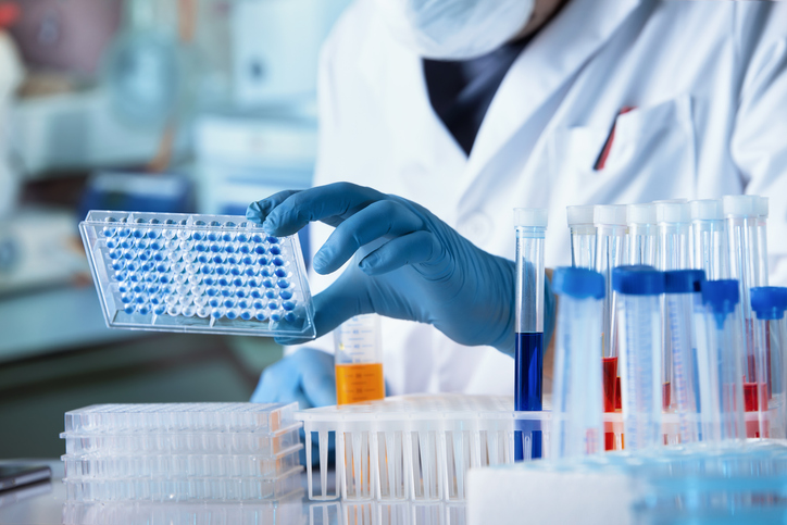 Researcher working with microplate panel for diseases diagnosis in the laboratory. Doctor working with microplate for elisa analysis Lab test membership