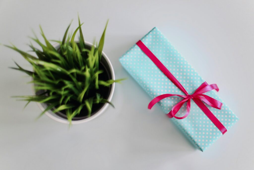 gift present healthy luxury spa gifts