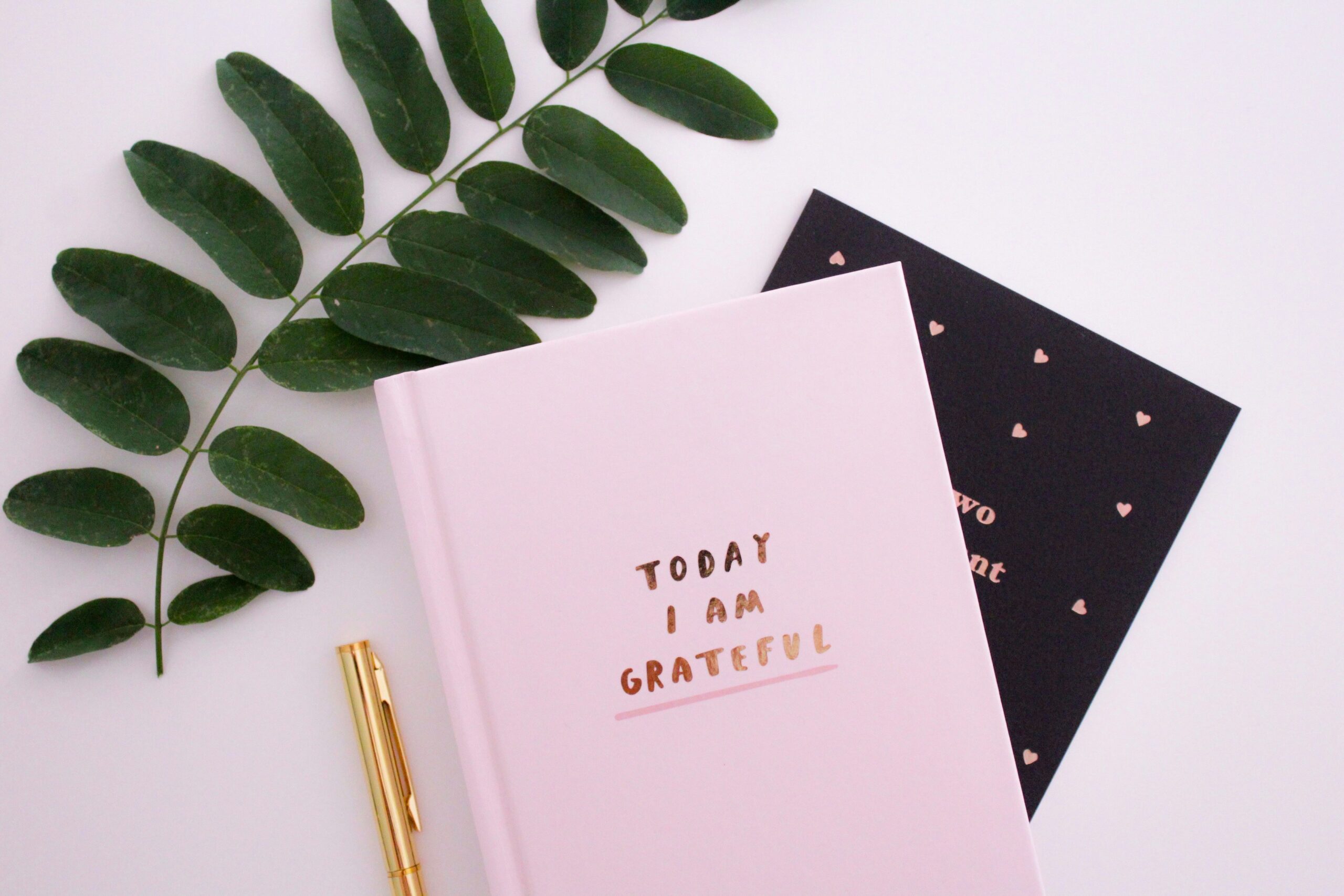 today i am grateful journal practicing gratitude
