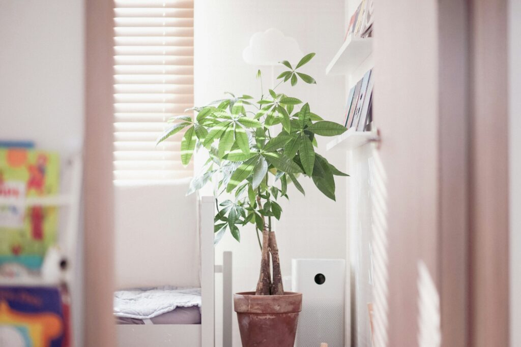 air purification reduce toxins at home